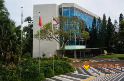 英语不好留学也不用担心，新加坡南大研究生中文硕士课程汇总来啦！