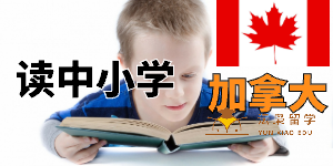 读中小学