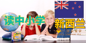 读中小学