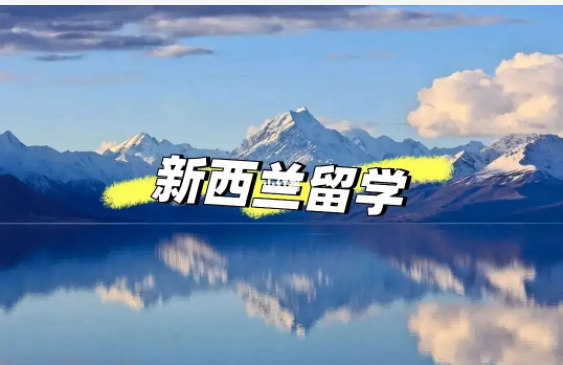 干货！新西兰短期本科预科课程汇总！