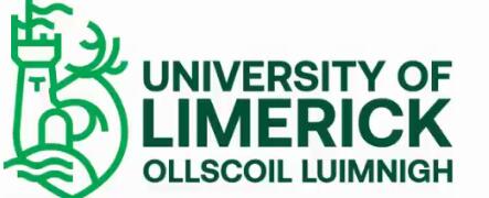 利莫瑞克大学计算机视觉和人工智能硕士详解