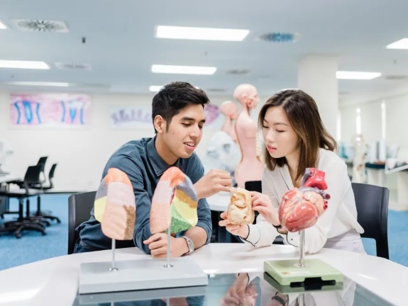 突破健康边界，成就未来医疗领航者｜蒙纳士硕博课程