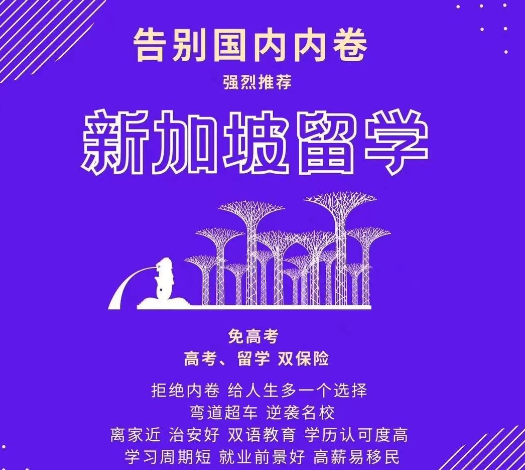 就读新加坡:最靠谱的留学跳板